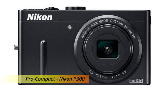 Nikon P300 for christmas 