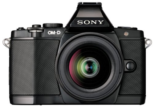best frame mirrorless camera for professional video