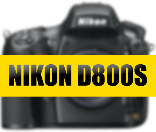 Nikon-D800S-image