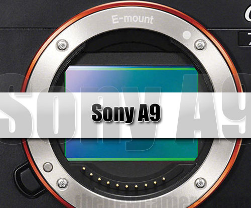 Sony-A9-Coming-Soon