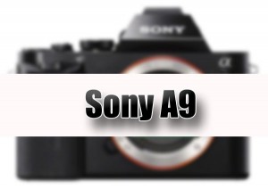 Sony-A9-Mirrorless-coming