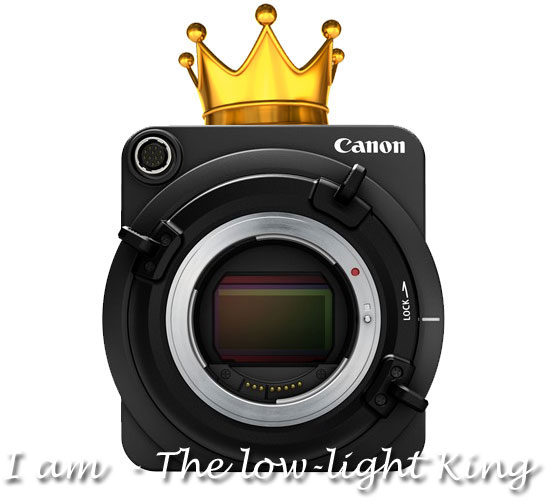 canon 7d firmware new features