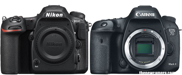 Nikon D500 Camera Review and Real World Use