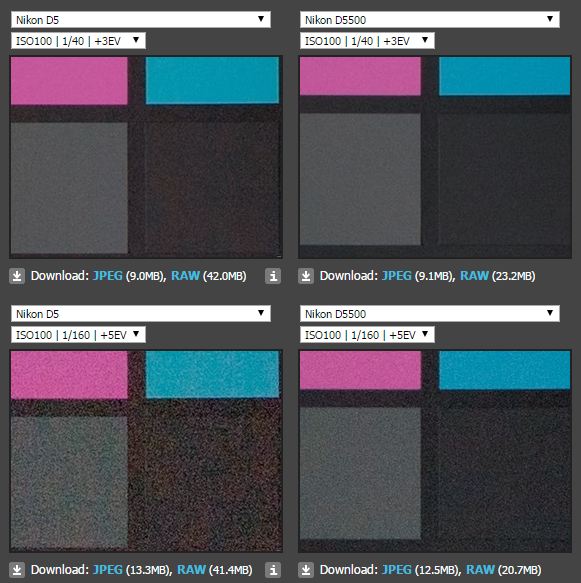 Nikon D5 vs Nikon D5500 Dynamic range test