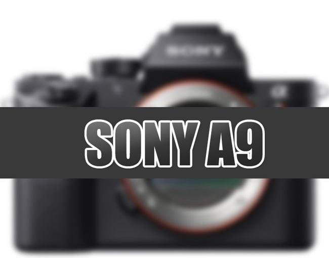 Sony A9 Rumored specification