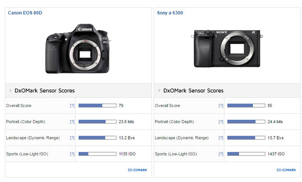 Canon-80D-vs-Sony-A6300-ima