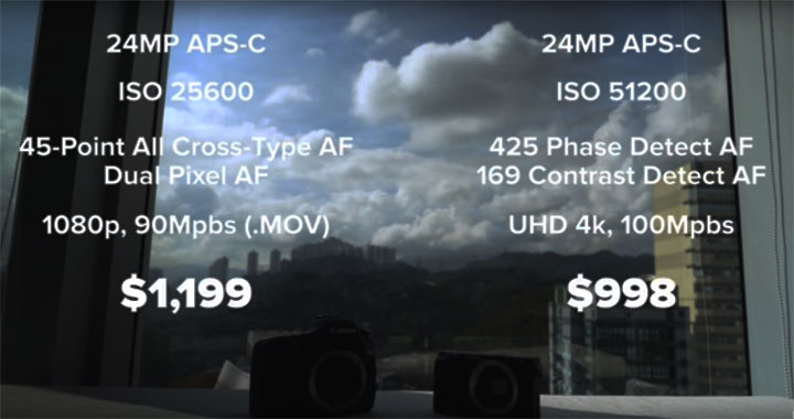 Canon 80D vs Sony A6300