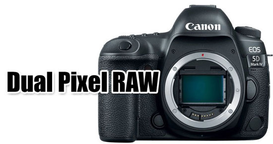 canon-dual-pixel-raw-image