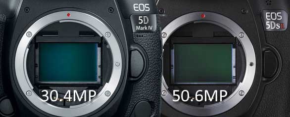 Canon 5D Mark Iv Vs 5Dsr  : The Ultimate Showdown