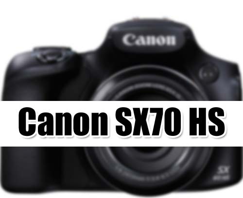 TUTORIAL  Top 15 Most Common Questions for Canon PowerShot SX530 HS  Compact Digital Camera 