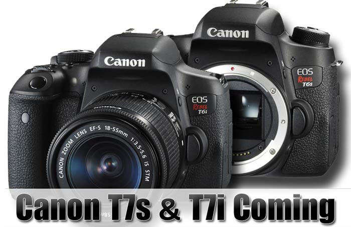 Canon T7s and T7i coming image