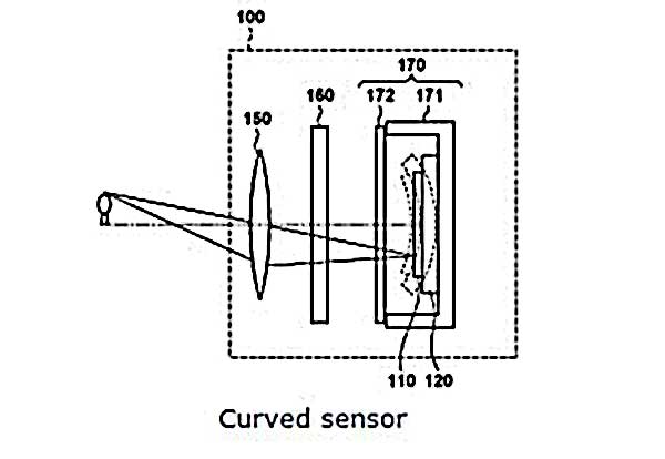 Curve sensor