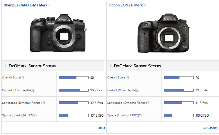 Nikon D500 - DXOMARK