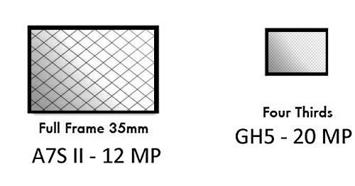 Sensor size and pixel