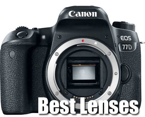 Canon 77D Best Lenses