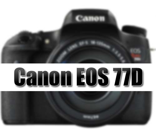 Canon 77D image