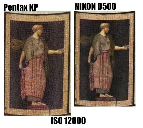 pentax KP vs D500