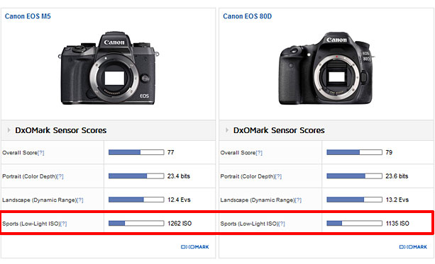 Canon EOS R8 Sensor test - DXOMARK