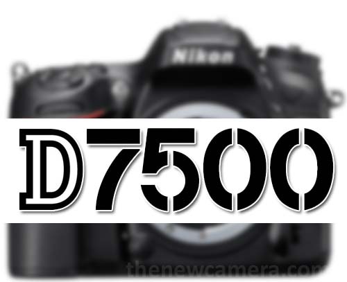 Nikon D7500