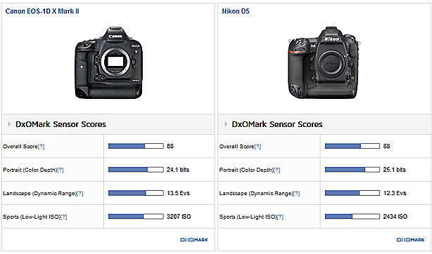 1DX-Mark-II-and-D5-scores-i