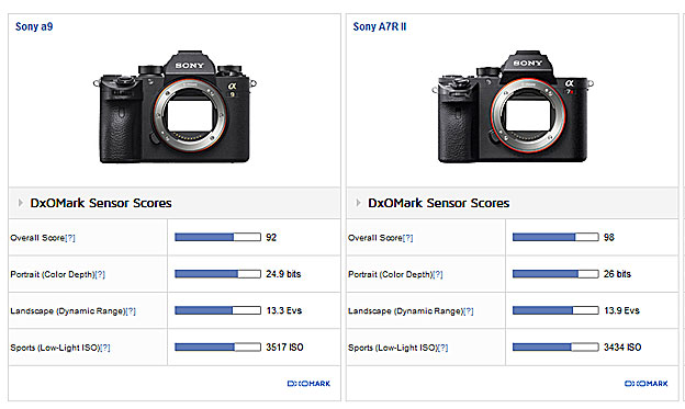 Sony-A9-vs-Sony-A7R-III-cam