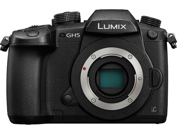 Panasonic GH5 Image