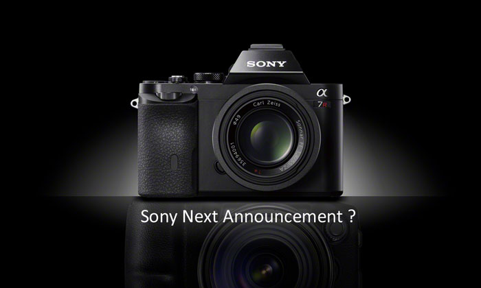 Sony next ann