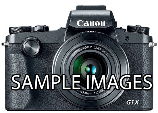 Canon G1X Mark III Sample