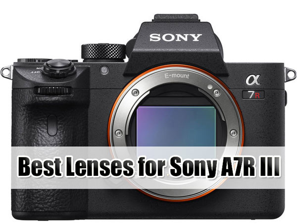 Best Lenses for Sony A7R III image