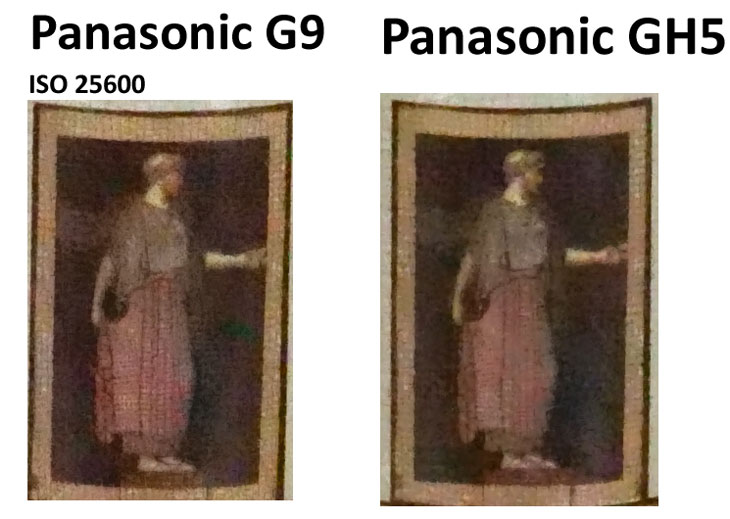 panasonic gh5 g9