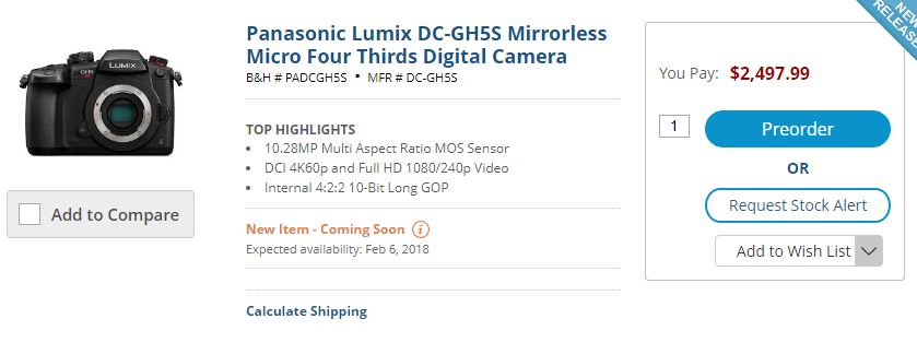 Panasonic GH5s