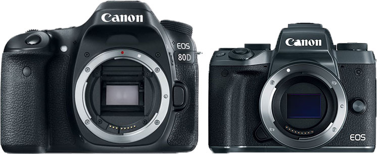 onderwijs straal chocola Why Canon EOS M50 is better than the Canon 80D DSLR ? « NEW CAMERA