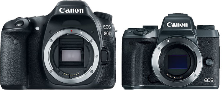 is canon 80d mirrorless