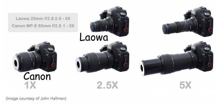 5X Macro Lens from Venus Optics - Laowa 25mm F2.8 2.5-5X Ultra