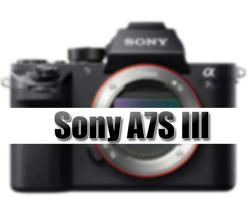 Sony A7S III camera image