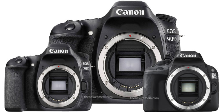 Canon 90D - WHY you should still consider this camera in the age of  mirrorless cameras 