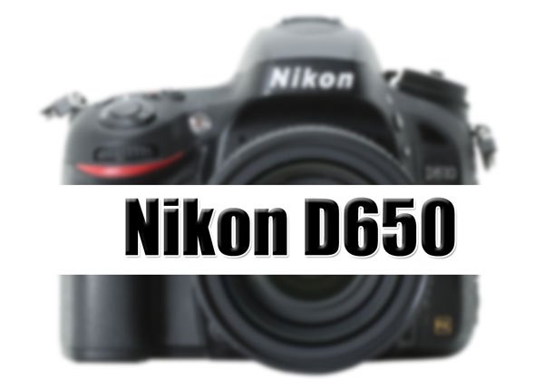 nikon d650 release date