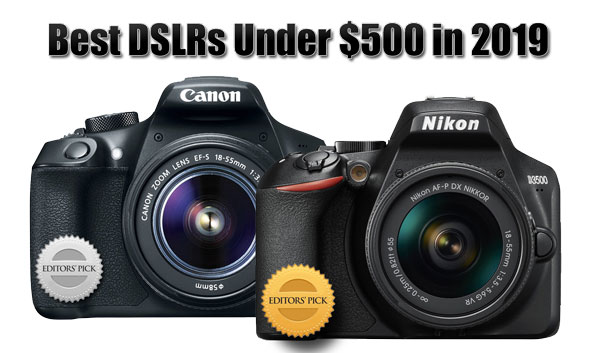 Best DSLRs Under $500 in 2019 « NEW CAMERA