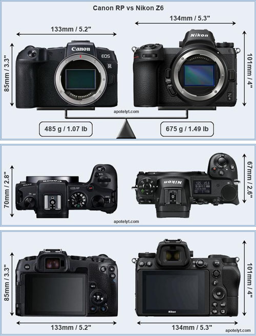 Canon EOS RP Nikon Z6 vs A7III « NEW CAMERA