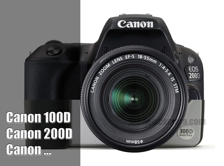 canon 250d successor