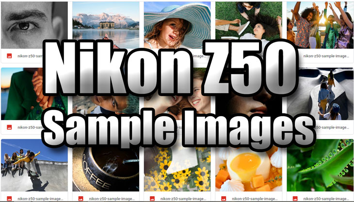 nikon z50 sample raw images