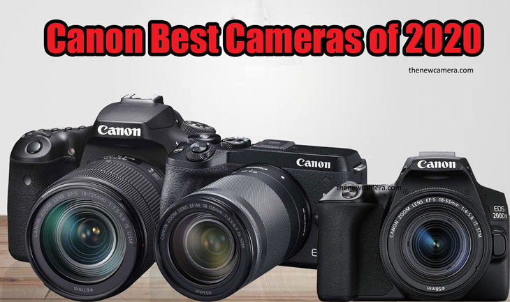 Canon 90D - WHY you should still consider this camera in the age of  mirrorless cameras 