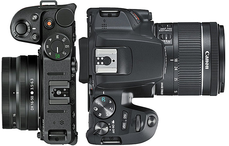 Comparing Canon EOS 250D Rebel SL3 and 200D SL2 DSLR Cameras