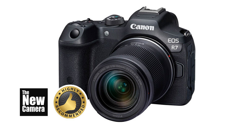 Canon R7 vs Sony a6700, Which Is The Best Mid-Range APS-C Camera? - The  Slanted Lens
