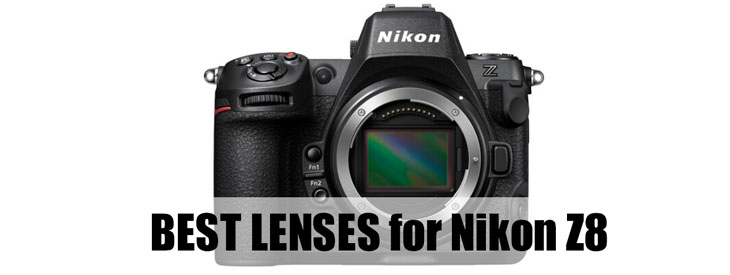 We Need a New Nikon Camera Already. Where Is the Nikon Z8?