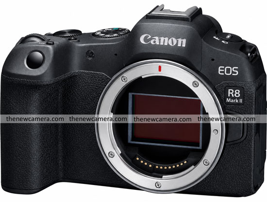 Canon R8 Mark II