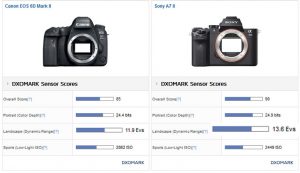 sony a7 ii vs canon eos r10